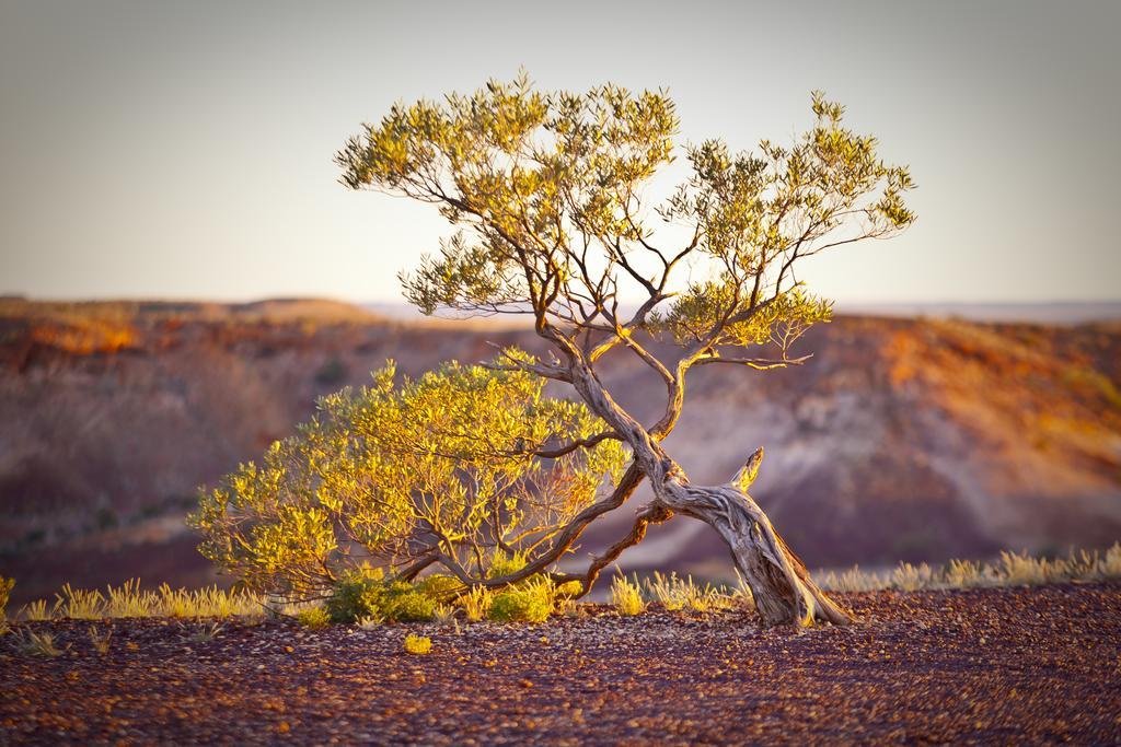 The Lookout Cave Underground Motel Coober Pedy Esterno foto